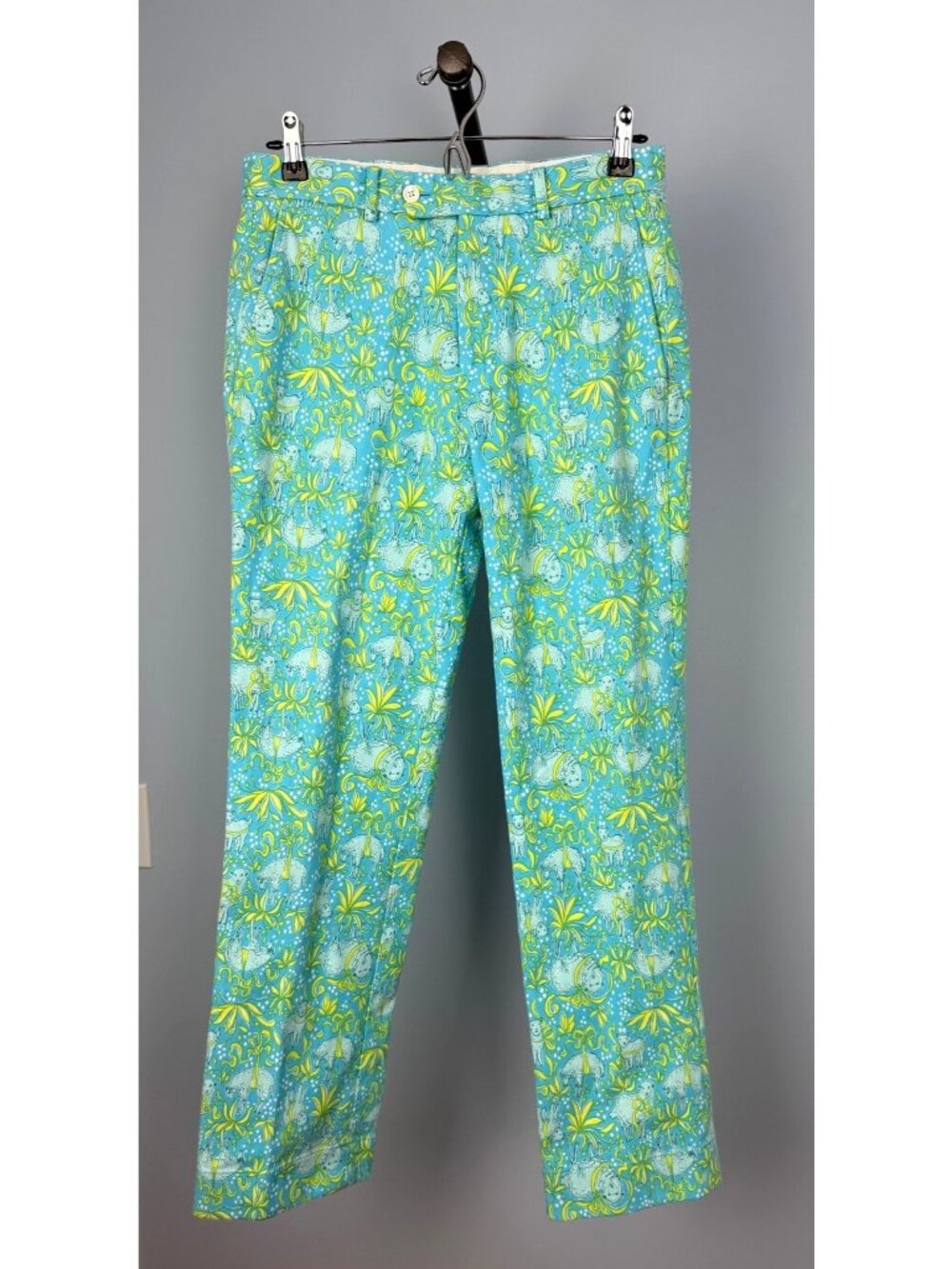 Brooks Brothers Regent Fit Womens 30x30 Novelty Lamb Print Pants Blue & Green